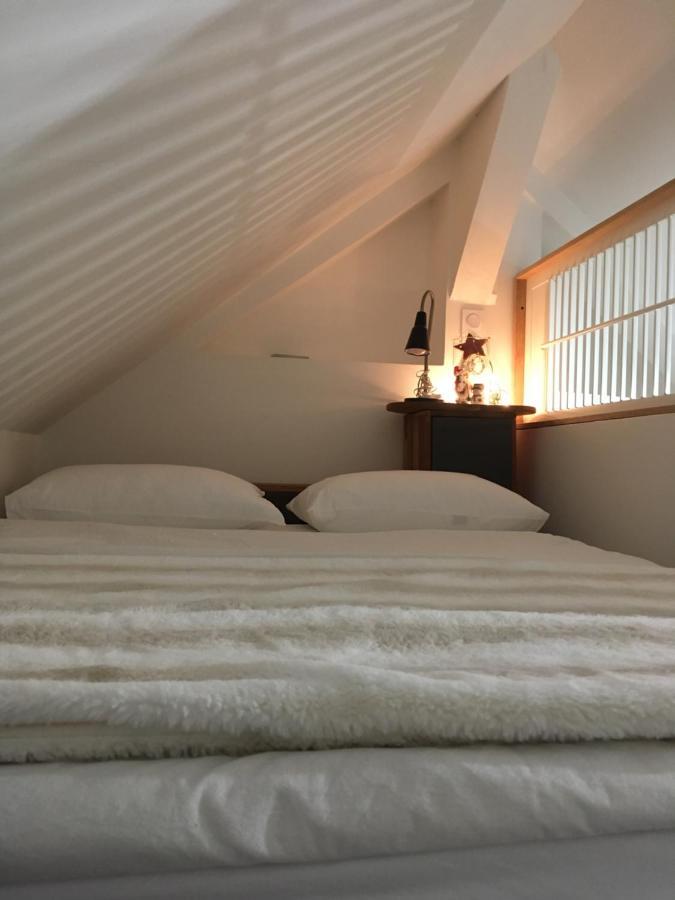 Logement Climatise Erdre Riviere La Chapelle-Sur-Erdre Exteriör bild