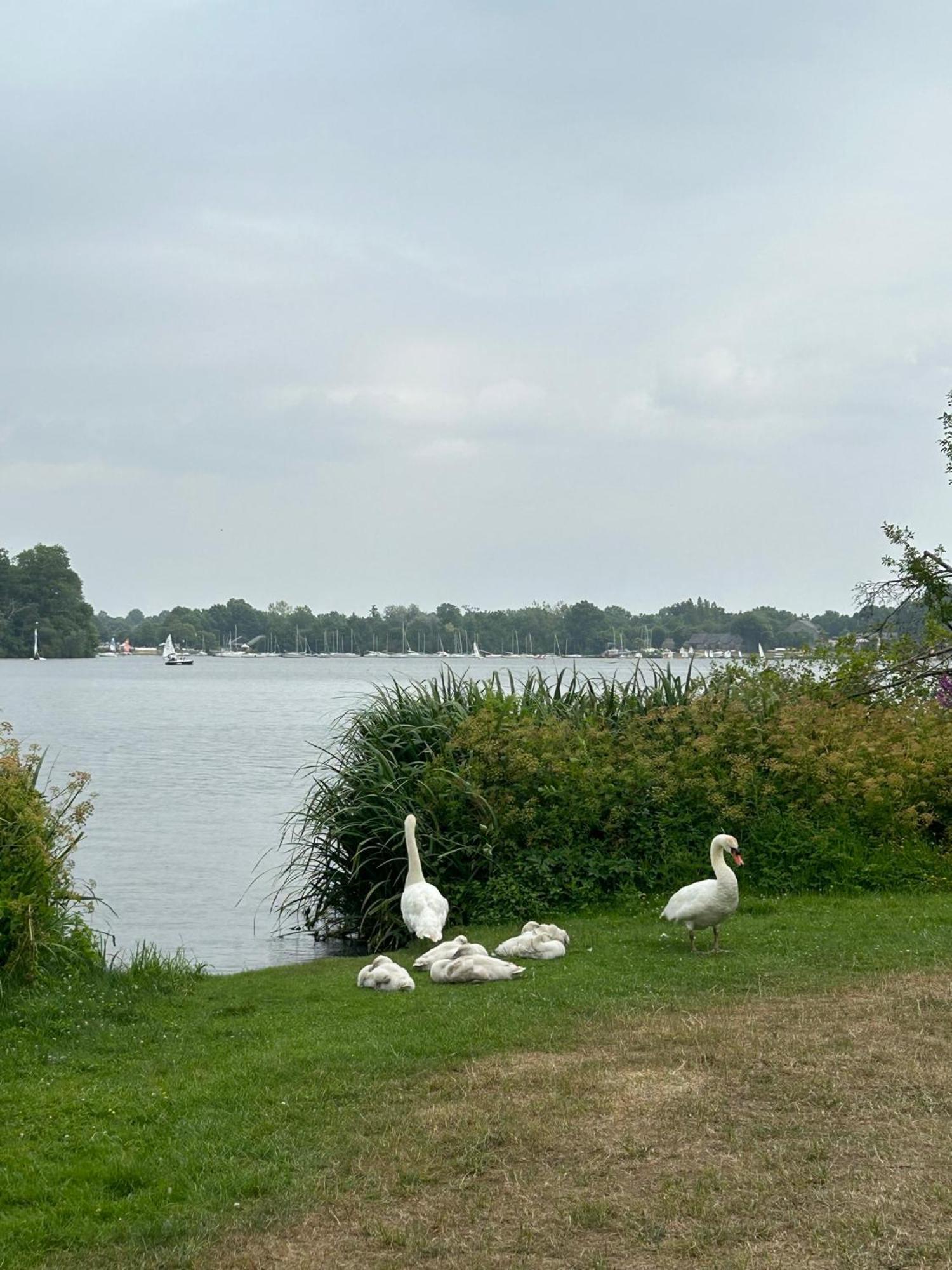 Logement Climatise Erdre Riviere La Chapelle-Sur-Erdre Exteriör bild